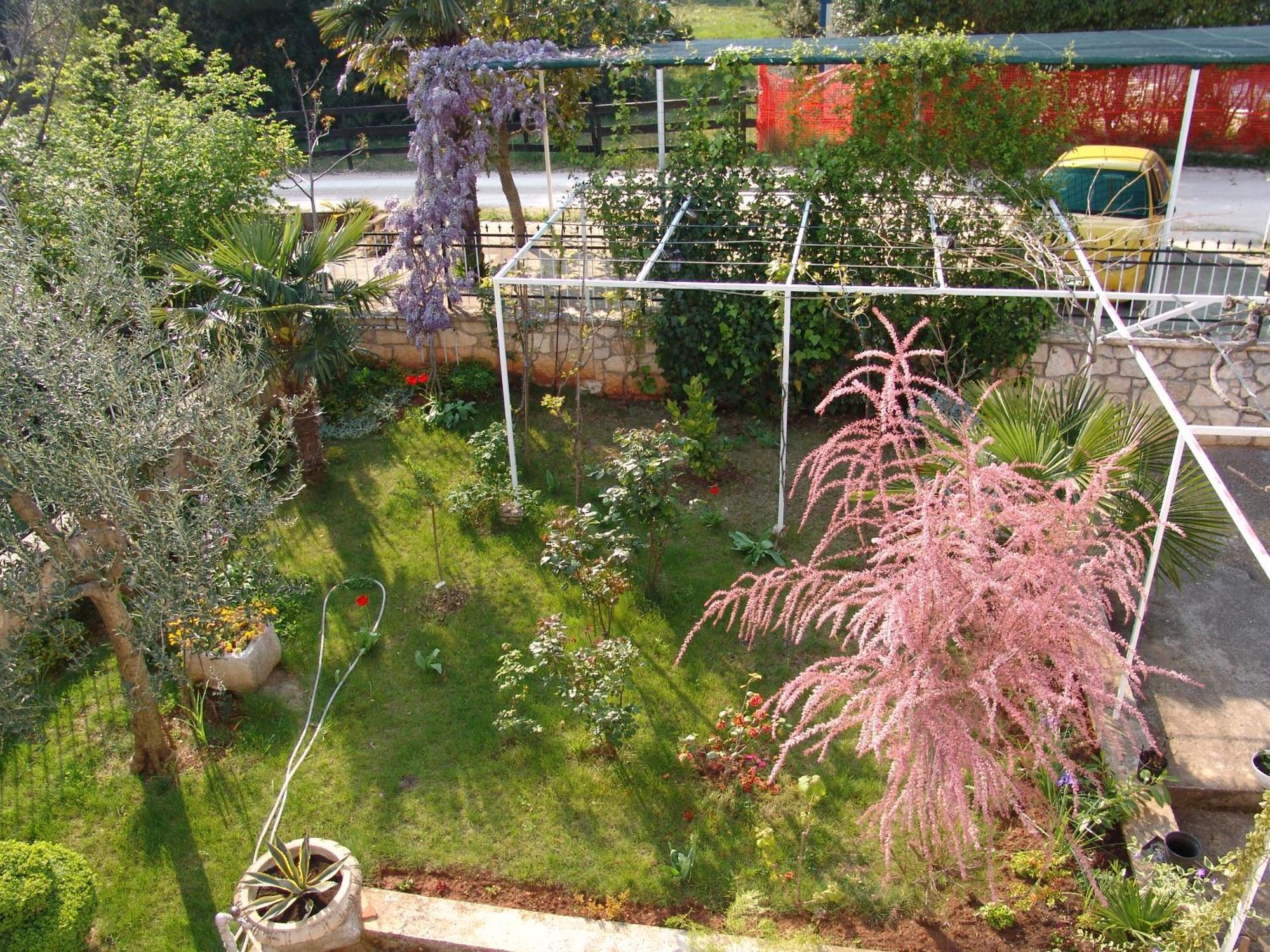 Villa Salvia Rooms And Apartments روفينج المظهر الخارجي الصورة